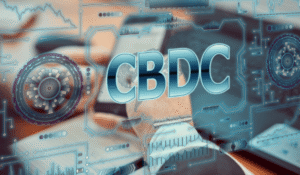 The Rise of Central Bank Digital Currencies